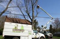 Monster Tree Service of the Upper Ohio Valley image 3
